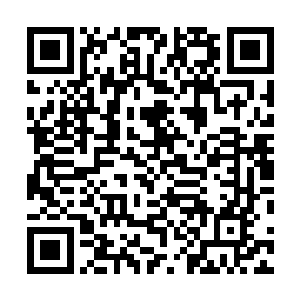 今日大掌柜和管事们都要被招来商议重新划分产业的事了二维码生成
