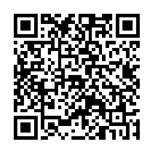 今日就是要让他们为自己先祖的所作所为付出代价二维码生成