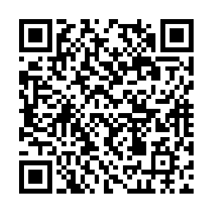 今日成为废墟的就是夜氏家族上上下下的所有人口二维码生成