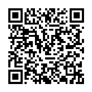 今日我在梨园里听到鹰鸣声了……长姐你知道吗二维码生成