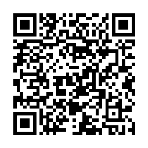 今日本王来智慧行天是有事想找丞相的高足弟子吕小兄二维码生成