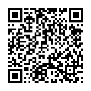 今日的季宸渊出人意料地竟然穿着一袭蓝色的衣衫二维码生成