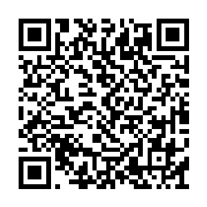 今日终于是能够尝尝七大学院学员精血的滋味了二维码生成