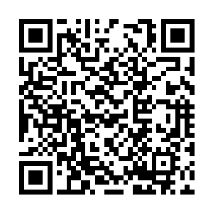 今日请大家来小聚实因老夫有一件事想和大家商量二维码生成