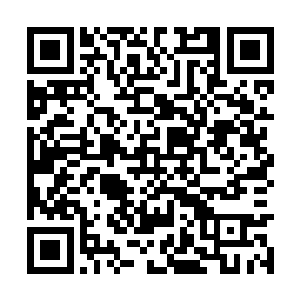 今早发动了一下360重启完发现小黑屋里存稿都没了二维码生成