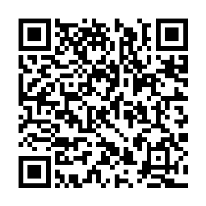 今晚……咱们兄弟终于可以一睹那姬沨珑的绝色了二维码生成