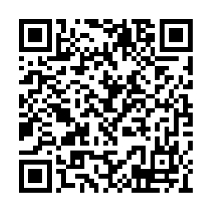 今晚上那只头领蝠既然已经抓着千粒金谷穗离开二维码生成