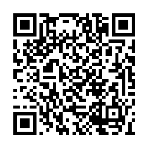 今晚你可得好好安抚夫君这颗饱受摧残的心灵啊二维码生成