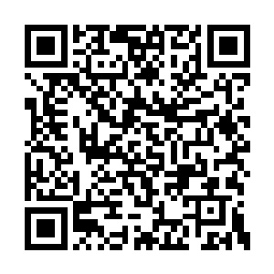 今晚值夜的两名护法端坐于离小楼最近的厅堂内二维码生成