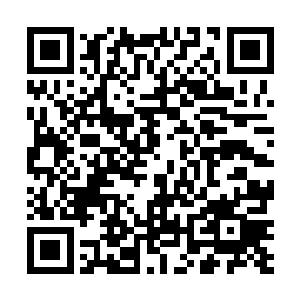 今晚奥斯卡颁奖典礼最令人震惊的犯罪行为就是――哦二维码生成