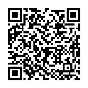 今晚我以为要张道友的灵宠先试探一下月华的威力二维码生成