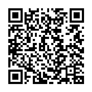 今晚的主人钟杨颖正笑吟吟地迈着优雅而自信的脚步走了进来二维码生成