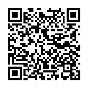 今晚的张潇晗和他们这几天接触的张潇晗全不一样二维码生成