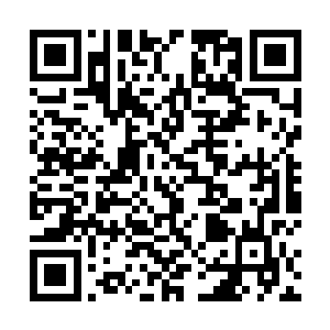 今晚老邓都带着入开始清理连夜清理凤巢合金会的账目二维码生成