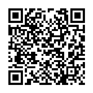 介于魔虫王和巨头鱼各自搜寻感应能力的巨大差异二维码生成