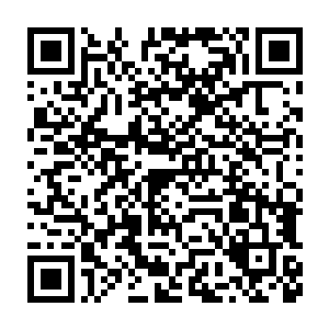 仍是把少说得有二十几万两真金白银的厚实家底都砸在了那支骑兵上二维码生成