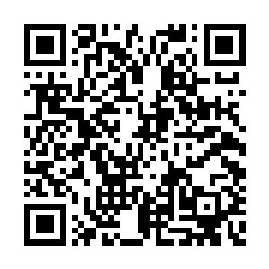 仍然有不少人的眼睛停留在张仪伊和秦洛的脸上二维码生成