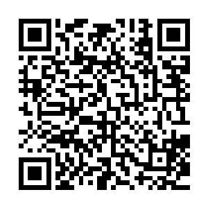 仍然没能从受惊debuff状态完全回过神来的沢田纲吉在心底咆哮二维码生成