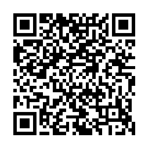 仍需要若干神念合为一股才能支撑起最为弱小的分身显化二维码生成