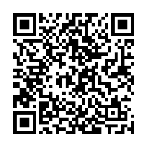 从一个小小的草药贩子摇身一变成为一个临河市的牛逼人物二维码生成