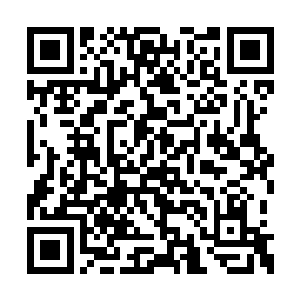 从一个小小萝莉化身为一个美丽御姐的草谷真人二维码生成