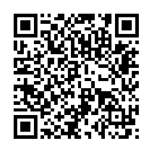 从一块兽皮包裹中拿出了一条抹过盐的尺把长咸鱼二维码生成