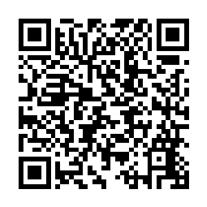 从一开始就直接被各个宗门如同选羊羔一般的分割带走二维码生成