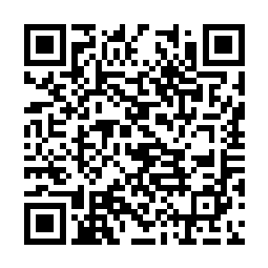 从一开始我们就不应该发动针对宇宙海的征服战争二维码生成