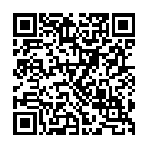 从一开始探墓流墨墨他们就属于那种有底气凑热闹的吃瓜群众二维码生成