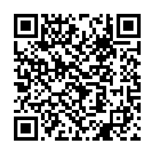 从一开始有意无意让柳琴接触不到南龙帮核心帮务二维码生成