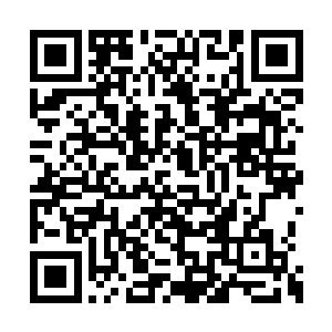 从一开始的什么都不会到后面已经能够勉强合格二维码生成