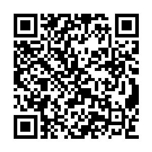 从一边的包裹里面拿出一根红色的药剂吞了下去二维码生成