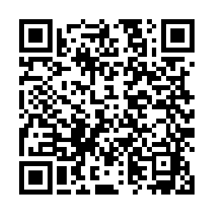 从万年斗飞车上转移到了这头小巧不已的黄金年鼠身上二维码生成