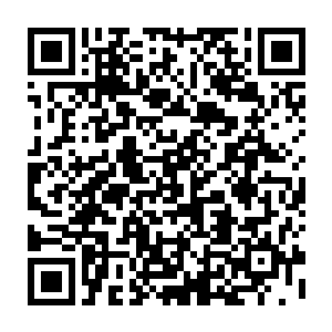 从上到下换了一身厚实衣服的祁源抓着一块快被吹凉的烤肉夹饼边走边吃二维码生成