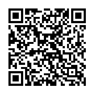 从上空看下去感觉这玄武城就像深海内的一颗明珠般二维码生成