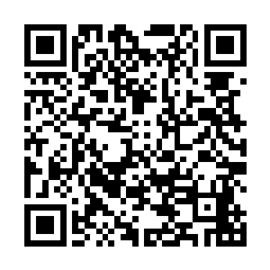 从上面的树上面一下子就掉了好几个冷冰冰的东西下来二维码生成