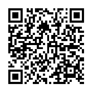 从下花溪赶过来的程老爹和他两个儿子立在那里破口大骂二维码生成