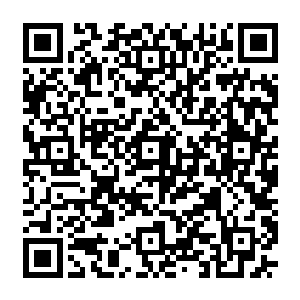 从专业的角度去阐释和譬解导演的执导能力对一部电影的最终成片的巨大影响毫无疑问二维码生成