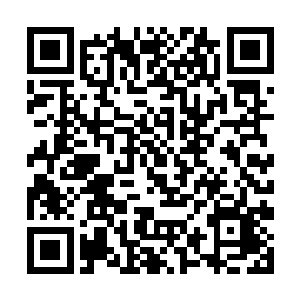 从两族之内精挑细选了百余专职供奉祭拜的修士弟子二维码生成