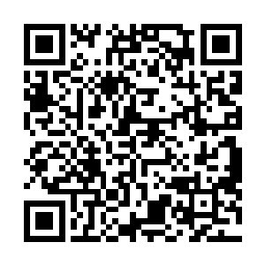 从中吐出一股全然不同的真元顺着周身经脉缓缓运转起来二维码生成