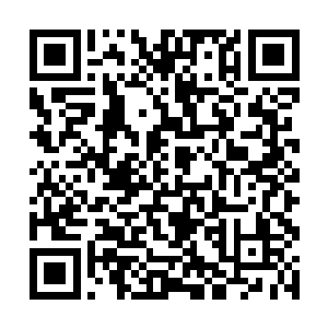 从中蠕动出几束好似花蕊般的东西正是武英奇的长发二维码生成