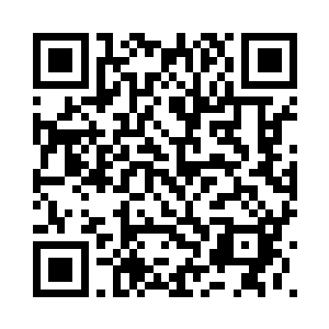 从主宰的阶段自毁实力跌下来的话二维码生成