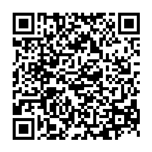 从之前的珈蓝宇宙之中的那些高手表现出来的恐怖的实力龙傲天推测二维码生成