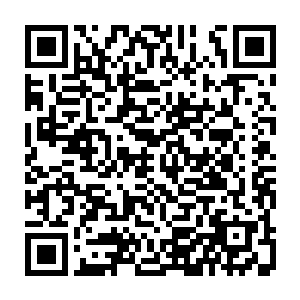 从九阶魔导师和九阶大剑师一下子就暴涨到了四阶法圣和四阶剑圣顶峰了二维码生成