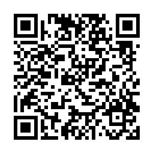 从乱妖山的方向出现一排密密麻麻的小黑点迅速靠近二维码生成