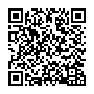 从乾坤戒中提取出了半天前从混沌墓穴深处得到的古法宝二维码生成