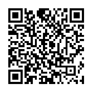 从乾青殿到皇宫正门之间的的建筑都被敖宙生生砸碎二维码生成