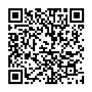 从京城来的专家忍不住质问起这次龙组行动的组长刘青石来二维码生成