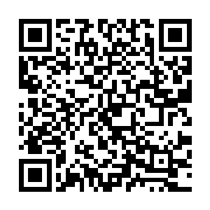 从人体热度最高的头部心脏橙红色一直到周围环境的蓝黑色二维码生成