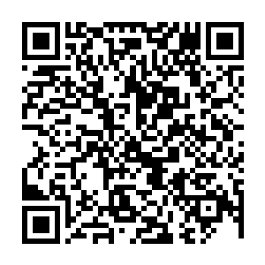 从人群中一根塑料小棍子吧嗒一声直接跟她那张妆容精致的脸来了个亲密接触二维码生成